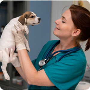 Katona Ramóna bemutatkozó