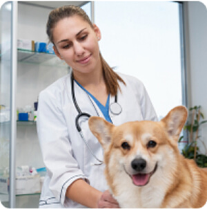 Tóth Orsolya bemutatkozó